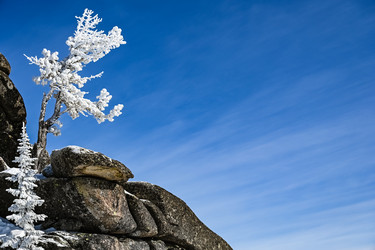 Similar image 21003602