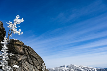 Similar image 21003603