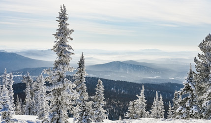 Similar image 21003604