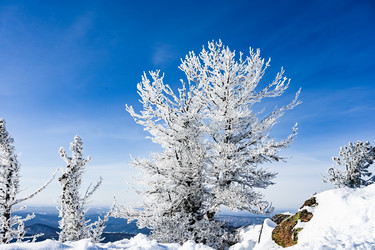 Similar image 21003605