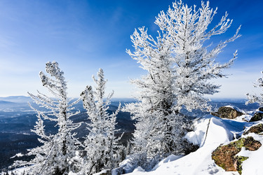 Similar image 21003606