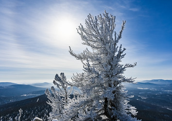 Similar image 21003674