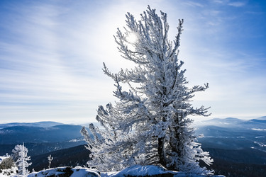 Similar image 21003675