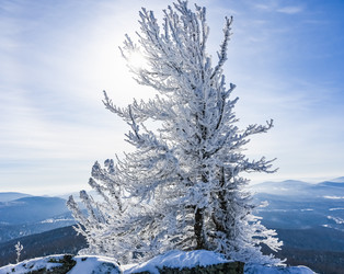 Similar image 21003676