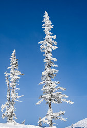 Similar image 20972951