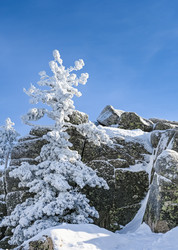 Similar image 20972952