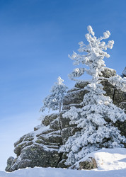 Similar image 20972953