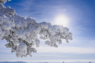 Similar image 20972957