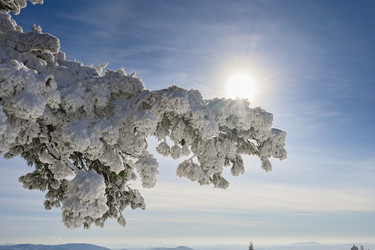 Similar image 20972958