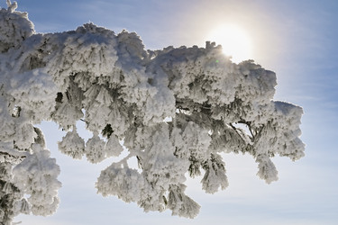 Similar image 20972960