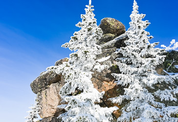 Similar image 20972961