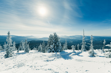 Similar image 20972962