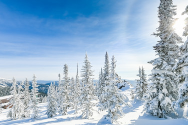 Similar image 20972964