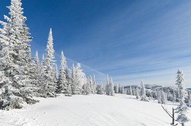 Similar image 20972965