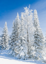 Similar image 20972967