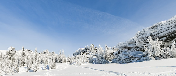 Similar image 20972968