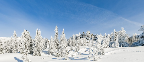 Similar image 20972969