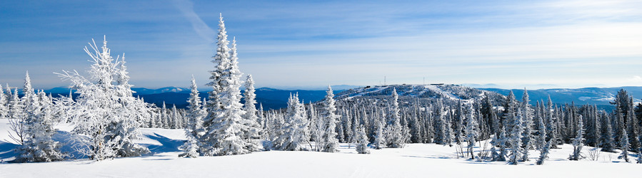 Similar image 20972970