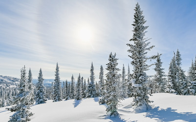 Similar image 20972971