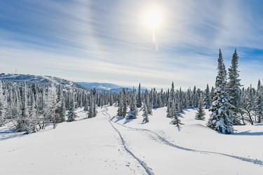 Similar image 20972972