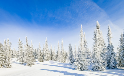 Similar image 20972973