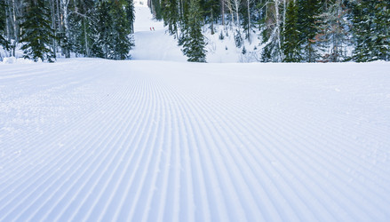 Similar image 20972977