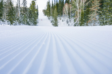 Similar image 20972978