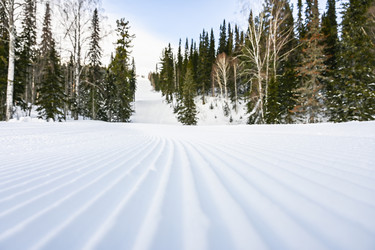 Similar image 20972979