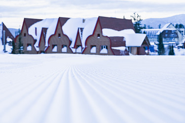 Similar image 20972981