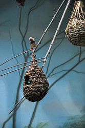 Similar image 20978589