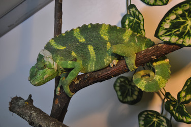 Similar image 20978591