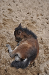 Similar image 20978638