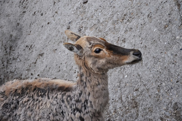 Similar image 20978639