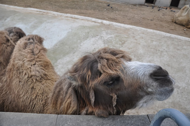 Similar image 20978640