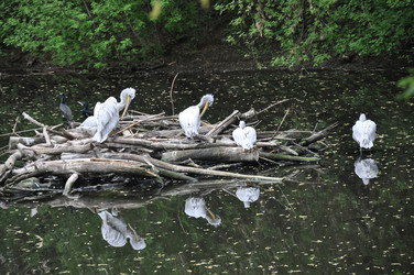 Similar image 20978641