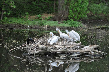 Similar image 20978642