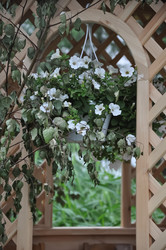 Similar image 20978643