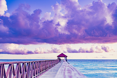 Similar image 21001209