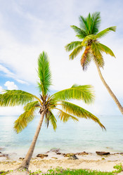 Similar image 21001210