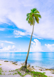 Similar image 21001211