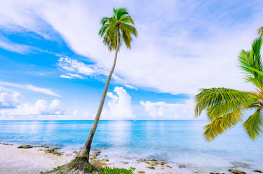 Similar image 21001212