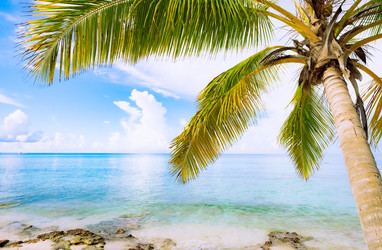 Similar image 21001249