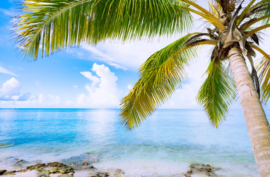 Similar image 21001250