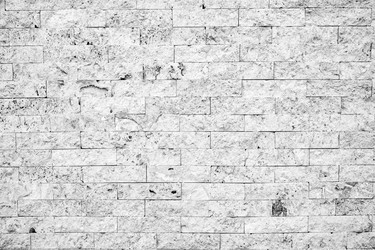 Similar image 21001308