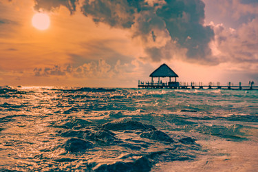 Similar image 21001309