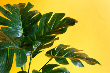 Similar image 20982560