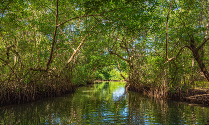 Similar image 20973164