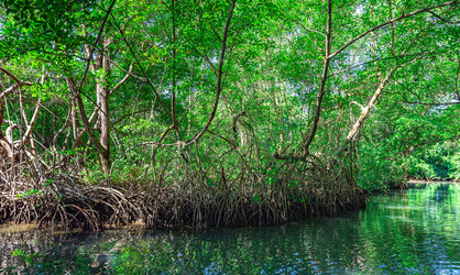 Similar image 20973165