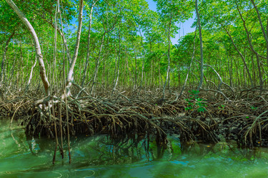 Similar image 20973245