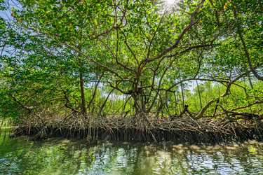 Similar image 20975438